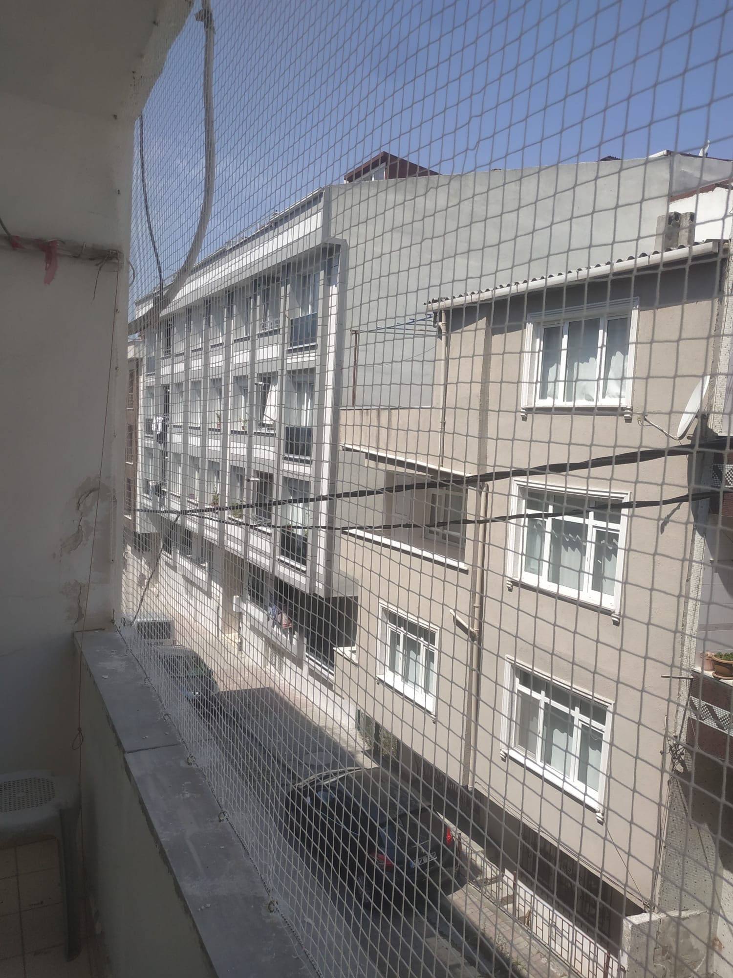 Miyav Kedi Filesi